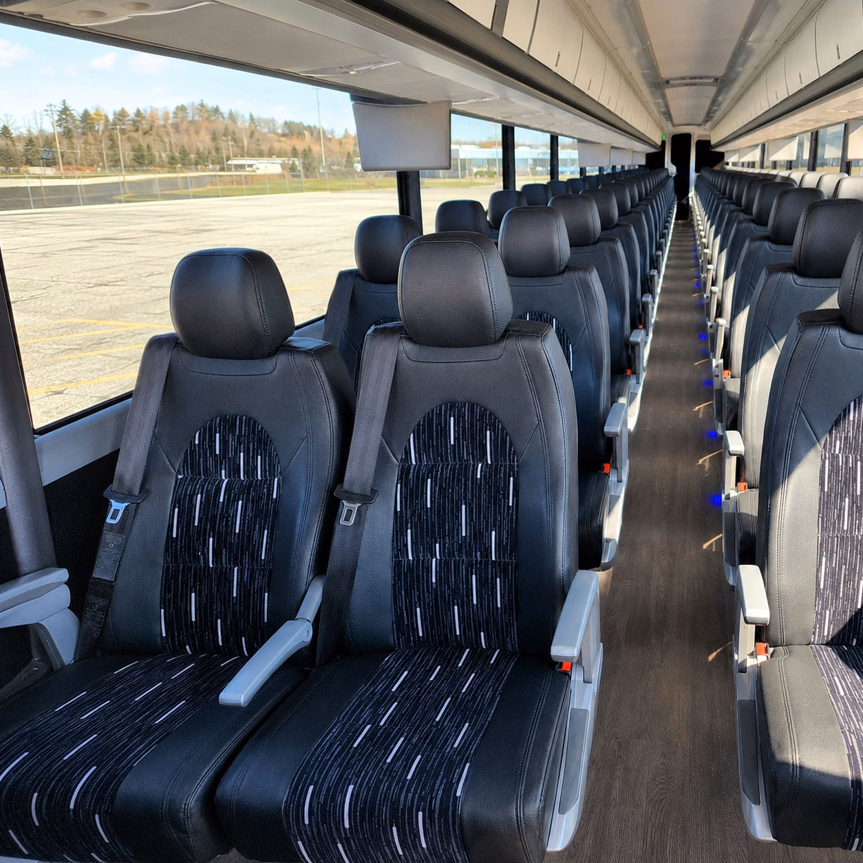 a charter bus to mount san jacinto state park makes your next nature field trip unforgettable