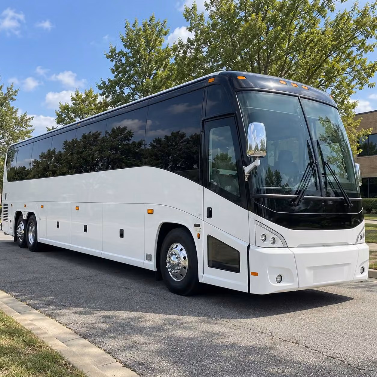 san jacinto wedding shuttle bus transportation made simple